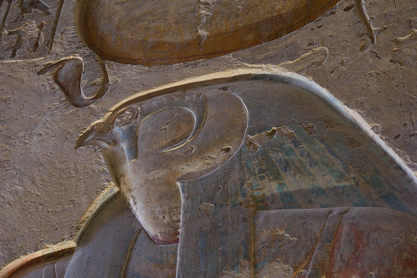 16 MAK_5974.jpg - La testa di falco del dio Horus,